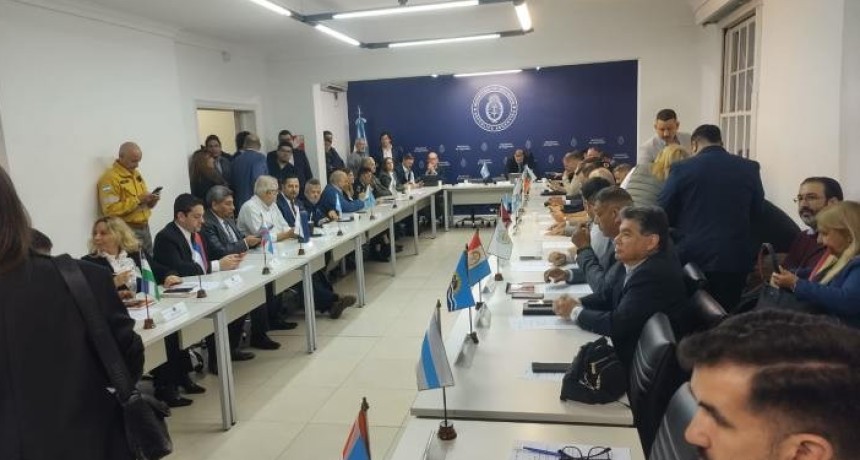 Tucum&aacute;n particip&oacute; del Concejo Federal para la Gesti&oacute;n Integral de Riesgos