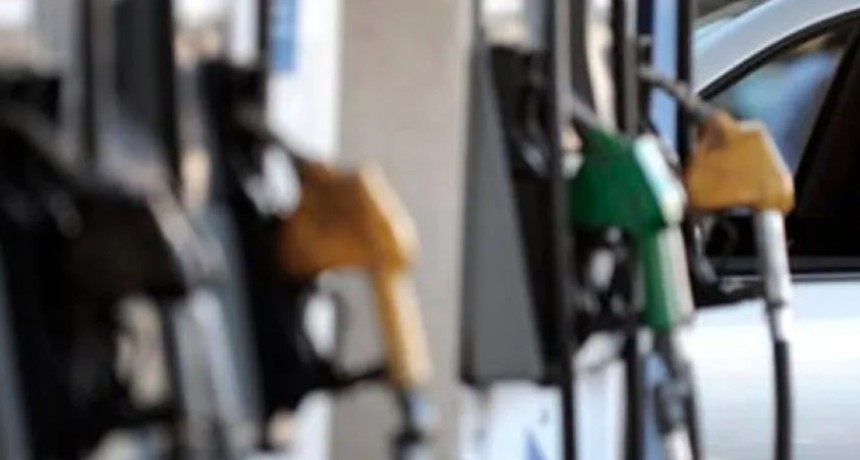 El Gobierno defendi&oacute; la desregulaci&oacute;n y rechaz&oacute; controles de precios en combustibles