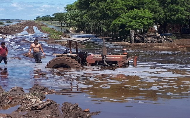 Por las inundaciones se estiman p&eacute;rdidas por u$s 2.200 millones en el campo