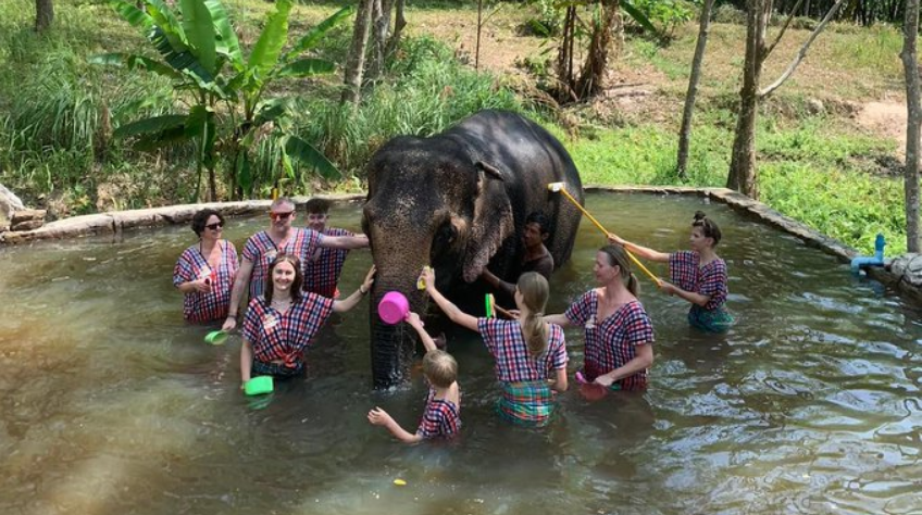 Tailandia: muere una turista española atacada por un elefante 