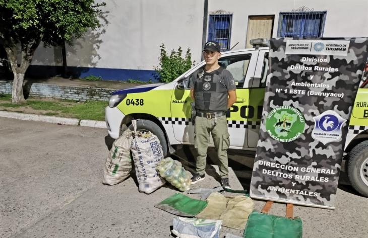 Frustran el robo de limones y evitan un accidente de tránsito