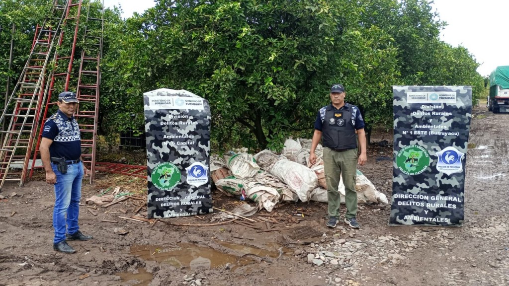 Allanamientos y secuestros por un robo de limones en una citrícola