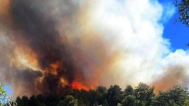 Por extremos incendios alerta en varias regiones del país, especialmente la Patagonia 