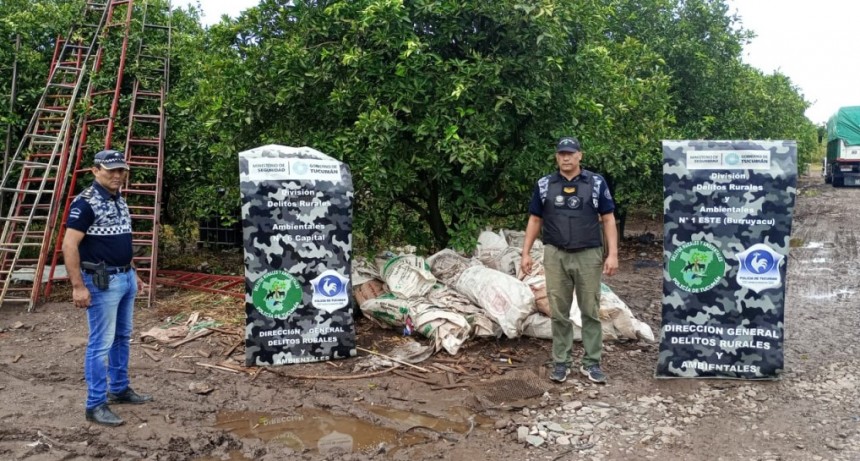 Allanamientos y secuestros por un robo de limones en una citrícola