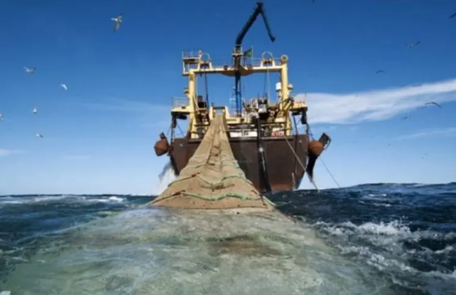 Denuncian que se otorgaron permisos a empresas vinculadas a la pesca ilegal