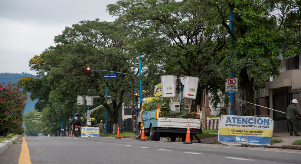 Refuerzan los trabajos de poda preventiva en avenida Mate de Luna