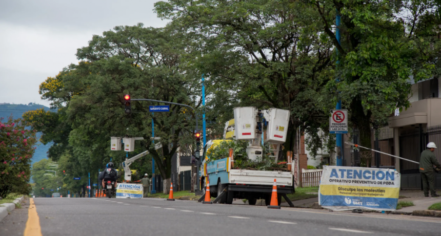 Refuerzan los trabajos de poda preventiva en avenida Mate de Luna