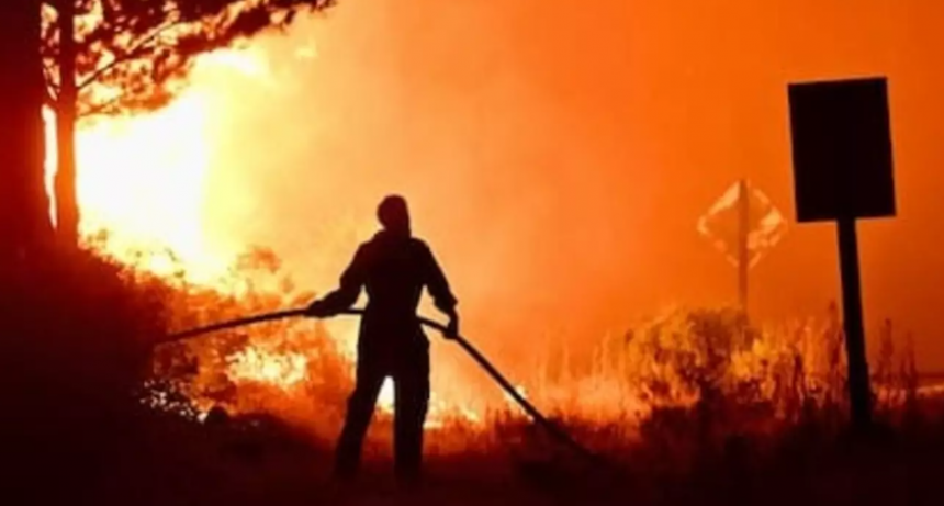 Ignacio Torres pide ley de 