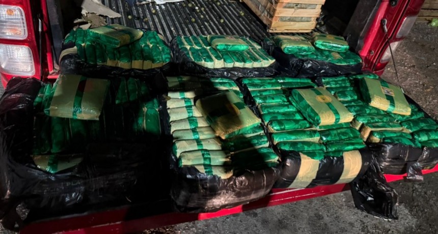 Casi 150 kilos de hojas de coca secuestrados en los puestos fronterizos