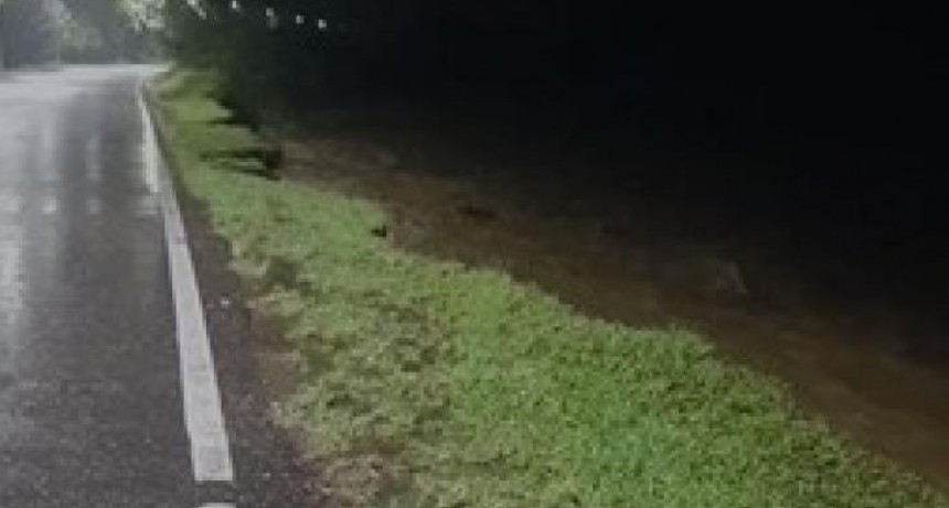 El Comité de Emergencia monitorea rutas y zonas afectadas en distintos puntos de Tucumán