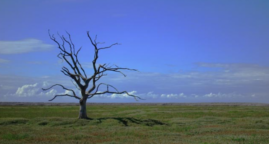 Día Mundial de la Acción frente al Calentamiento Terrestre