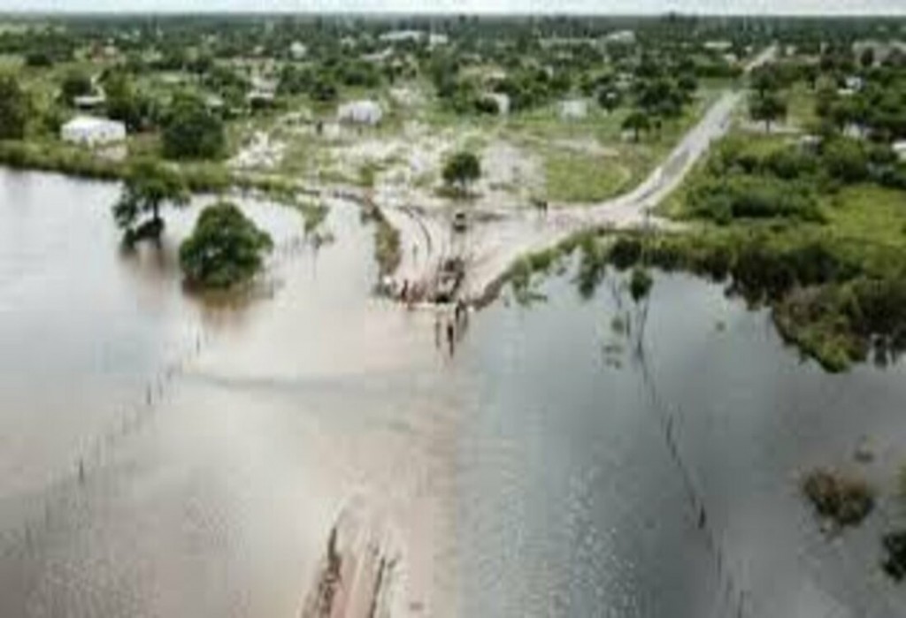 Seg&uacute;n un inform&eacute; se perdi&oacute; un 9% en el &aacute;rea productiva de la Soja