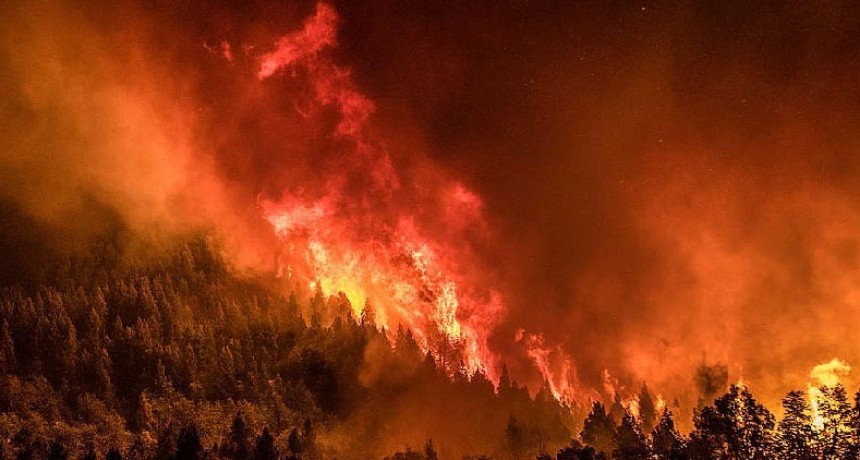 El fuego consumió 1000 hectáreas del Parque Nacional Los Alerces en Chubut