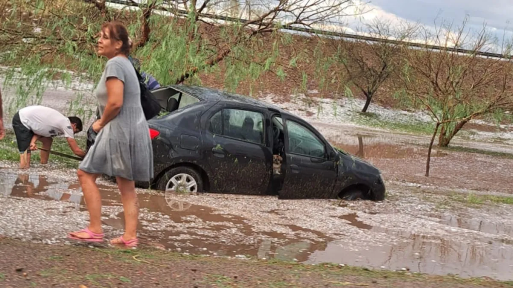Mendoza: fuerte granizo cayó causando destrozos 