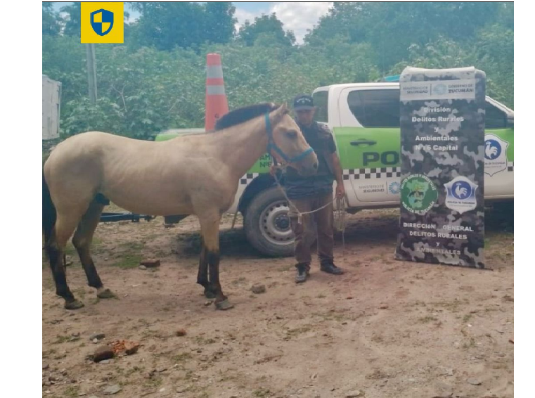 Recuperan un caballo robado, secuestran una moto y aprehenden a una persona