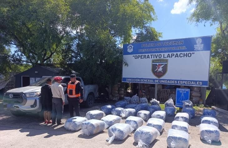 Decomisan en 7 de Abril 600 kilos de hojas de coca en estado natural