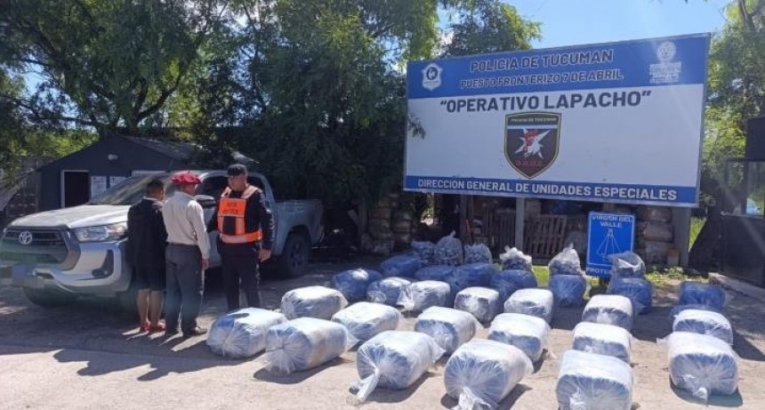 Decomisan en 7 de Abril 600 kilos de hojas de coca en estado natural
