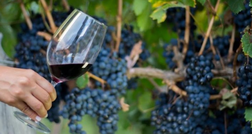 Colalao del Valle celebra la Fiesta Provincial de la Vendimia 2026