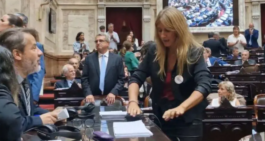 Piden la expulsión de la diputada Carignano por actos de "sabotaje ilegales"