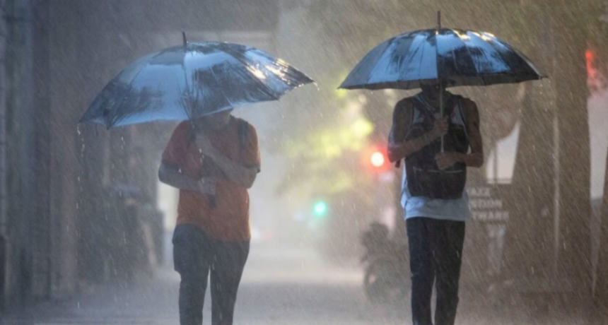 Las lluvias de la madrugada provacaron caída de árboles y el tendido eléctrico