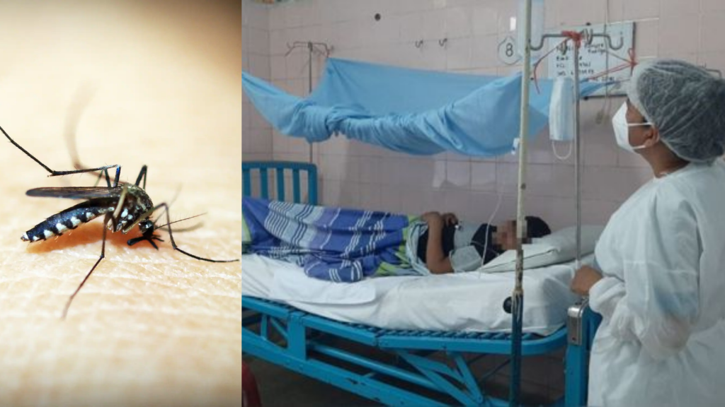 El Ministerio de Salud Pública confirma el fallecimiento de una persona por Dengue