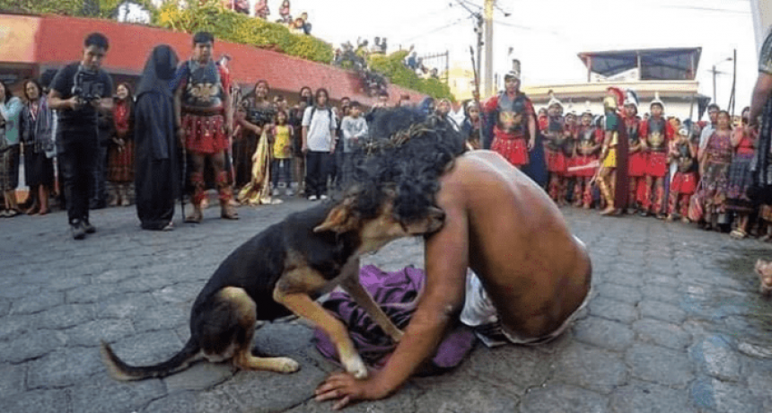 En pleno Viacrucis un perro consoló al actor que interpreta a Jesús