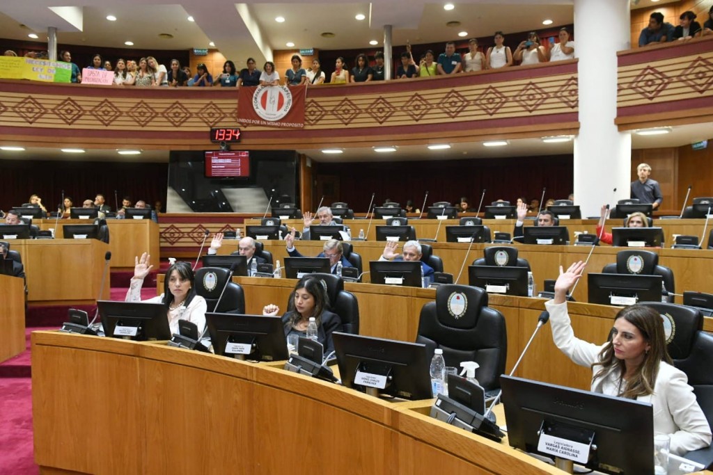 Acompañantes Terapéuticos: La Legislatura sancionó una ley que regula su ejercicio profesional y crea su colegio