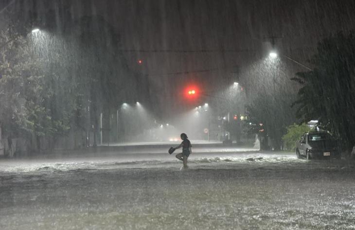 Decomisan mercader&iacute;a valuada en cerca de $120 millones