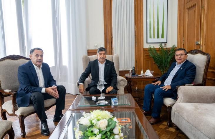 Secuestran plantines de marihuana y recuperan un televisor robado en un motel