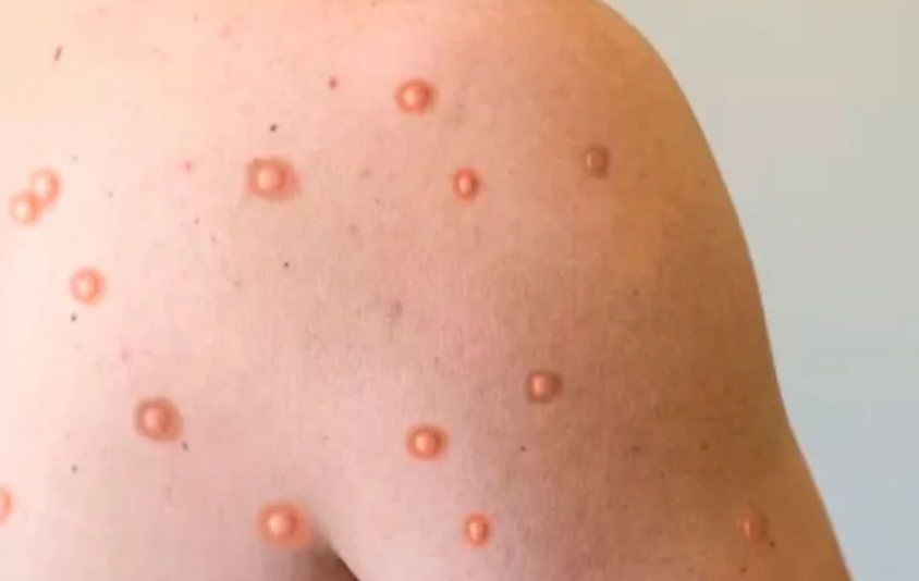 Mar del Plata: el offshore permitir&aacute; inversiones por u$s40.000 millones y la generaci&oacute;n de 125.000 empleos