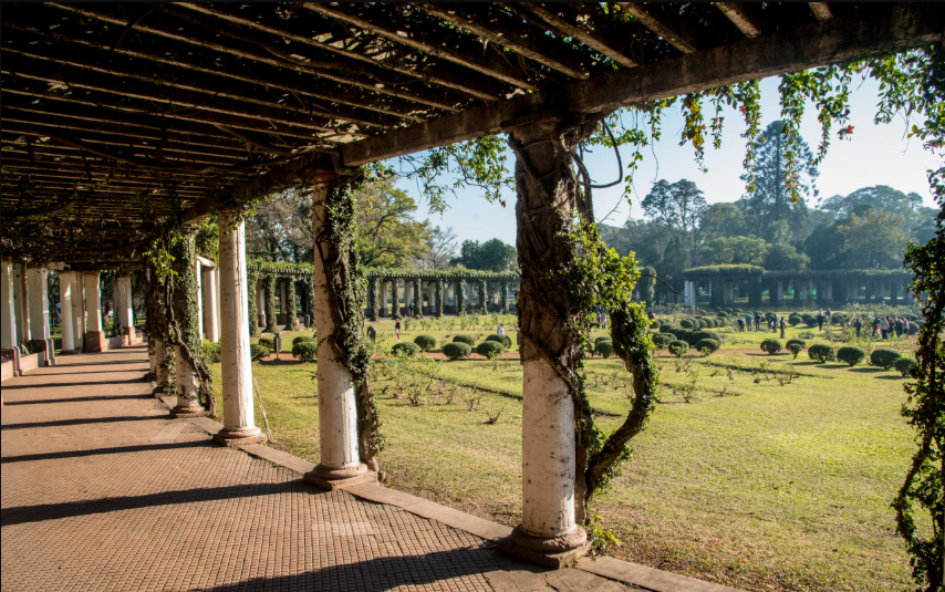 Chahla inicia un plan de revalorizaci&oacute;n integral del Rosedal del Parque 9 de Julio
