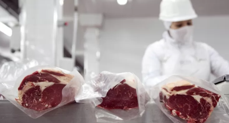 Chile bloque&oacute; el ingreso de carne argentina y expone el peligro sanitario 
