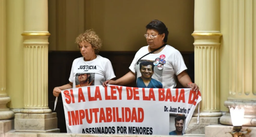 El Gobierno promulg&oacute; el nuevo R&eacute;gimen Penal Juvenil