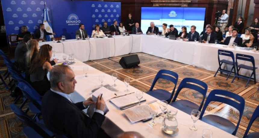 El Senado pone en marcha comisiones claves