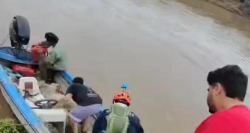 Operativo de relevamiento de animales en zonas afectadas