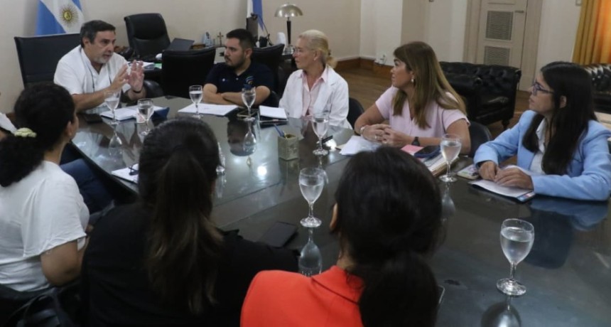 Salud convoc&oacute; a autoridades de la Municipalidad de la Capital a trabajar en conjunto para combatir el chikungunya