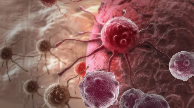 Científicos del Conicet avanzan en la vacuna contra el cáncer