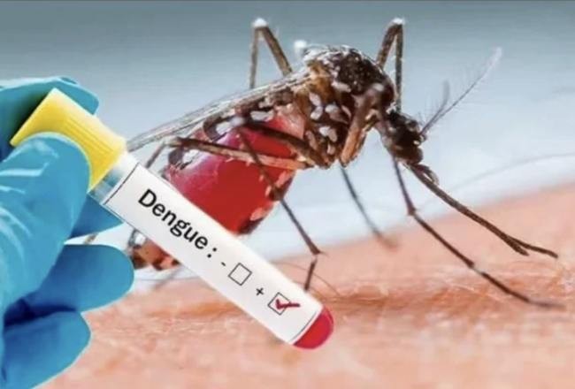 Confirman tres fallecimientos más a causa del Dengue
