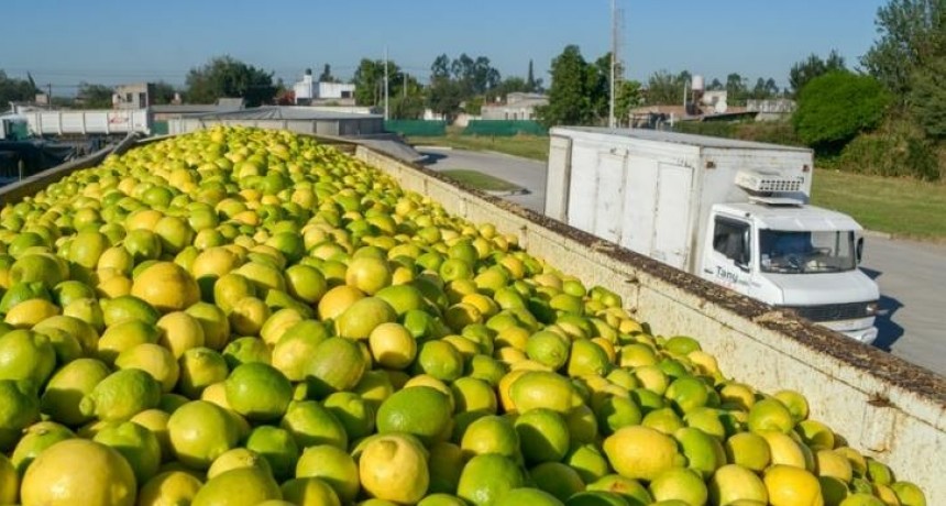 Jaldo sobre el conflicto en el citrus: 