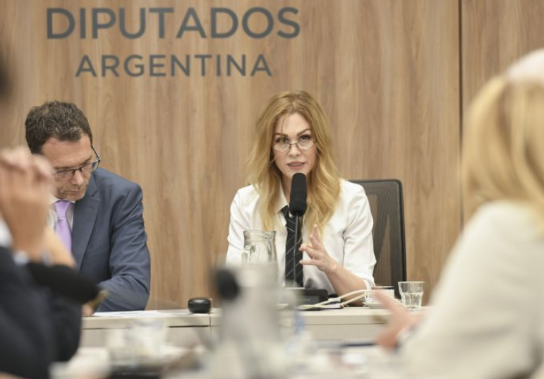 Confirmaron a Lemoine en Juicio Pol&iacute;tico y la oposici&oacute;n invoc&oacute; el caso $LIBRA y la investigaci&oacute;n a Adorni