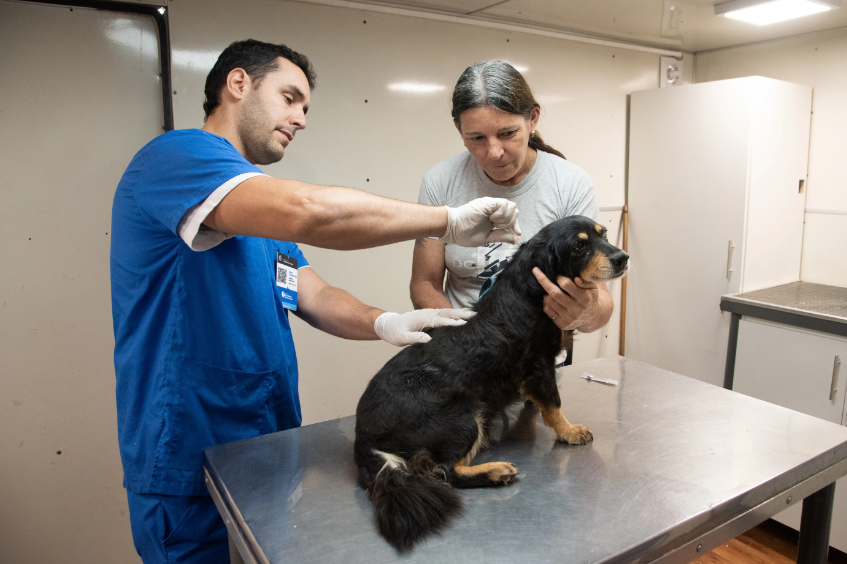 D&oacute;nde estar&aacute; el quir&oacute;fano m&oacute;vil de castraciones del municipio esta semana