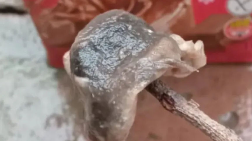 Impactante: una mujer denunci&oacute; que hab&iacute;a una rata dentro de una caja de chocolatada