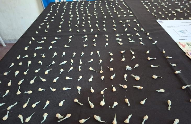 Una pareja fue atrapada con m&aacute;s de 260 dosis de coca&iacute;na