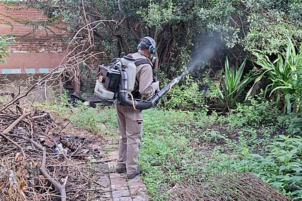 Salud intensifica controles y seguimiento de casos de chikungunya en Tucum&aacute;n