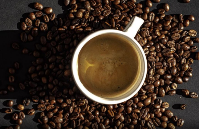 Mart&iacute;n Cabrales: "Tucum&aacute;n es la primera provincia productora de caf&eacute;"