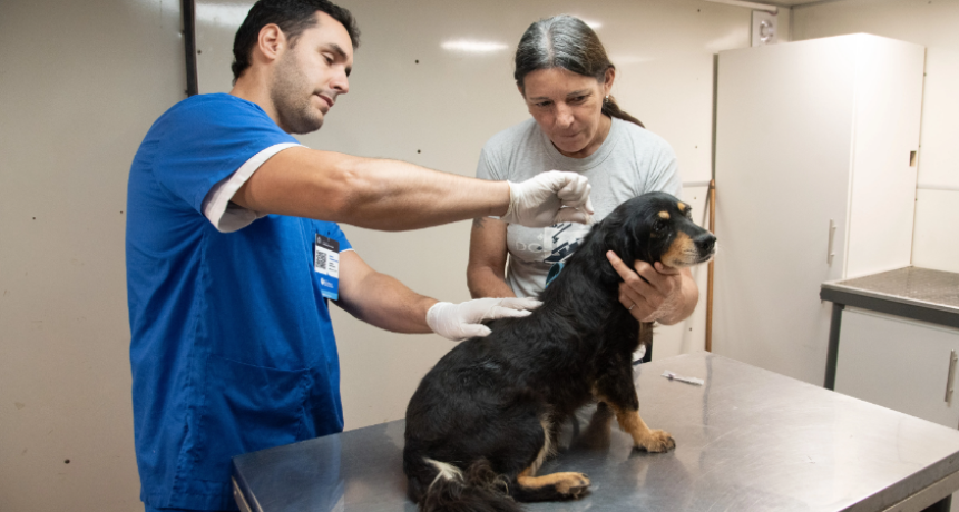 D&oacute;nde estar&aacute; el quir&oacute;fano m&oacute;vil de castraciones del municipio esta semana