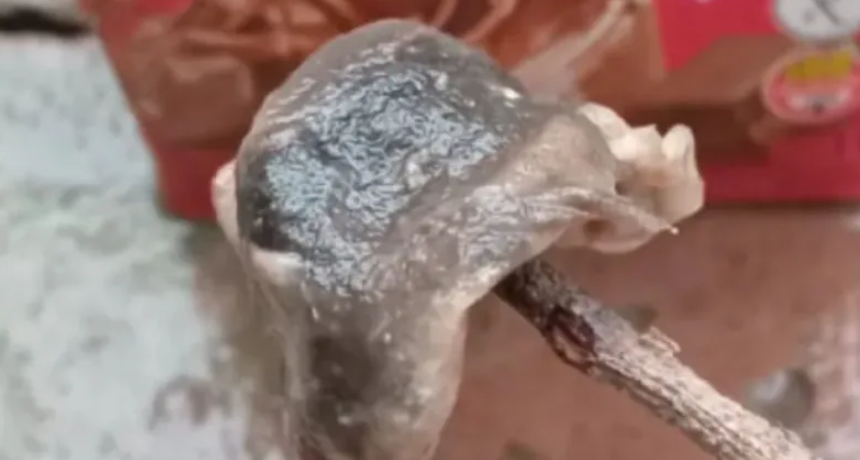 Impactante: una mujer denunci&oacute; que hab&iacute;a una rata dentro de una caja de chocolatada