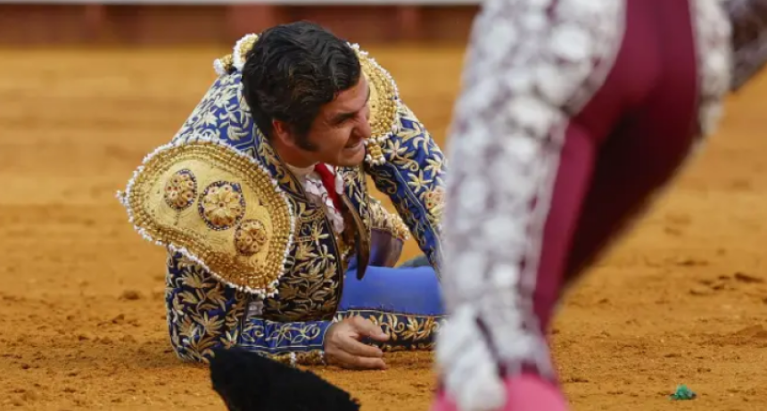 Torero sufre una cornada 