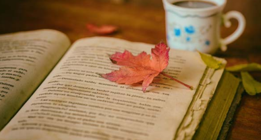 D&iacute;a Mundial del Libro y de los Derechos de Autor