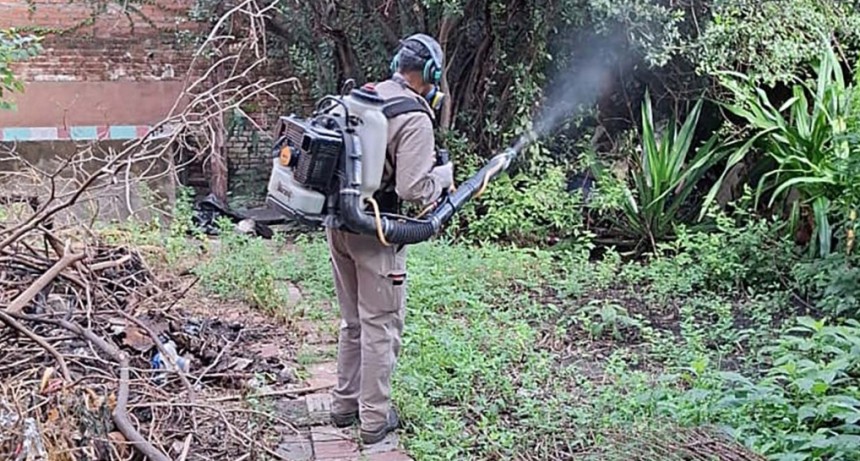 Salud intensifica controles y seguimiento de casos de chikungunya en Tucum&aacute;n